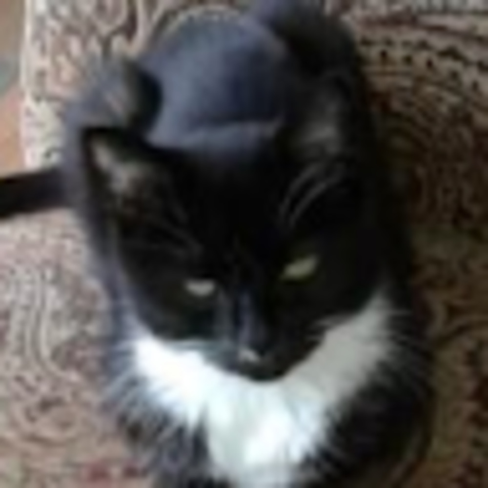 Meet your Posher, Dana